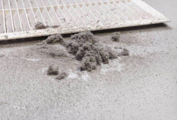 Best HVAC Duct Inspection Services  in Philadelphia, MS